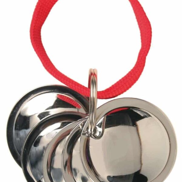 Dog Activity Discuri Dresaj2288 (R)