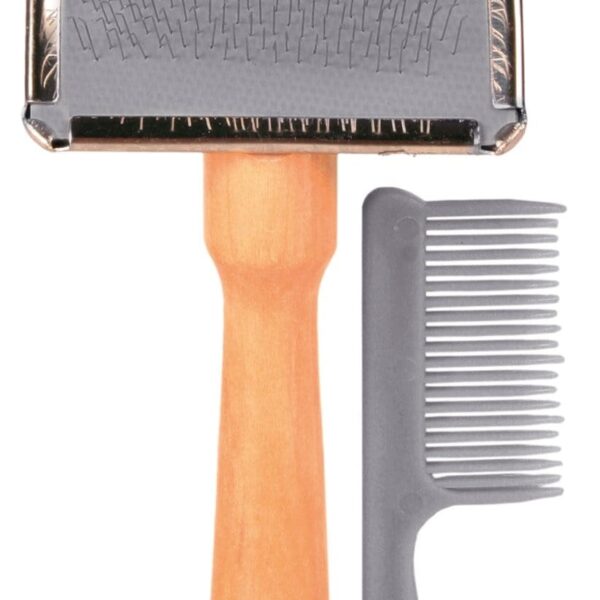 Perie si Piaptan Mic 2353