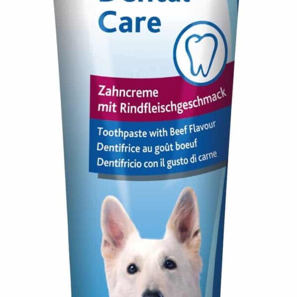 Crema de Dinti cu Gust de Carne 100 g 2545