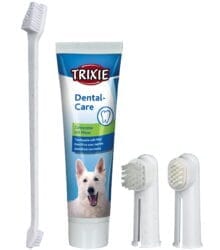 Set Periuta si Crema Dinti 2561