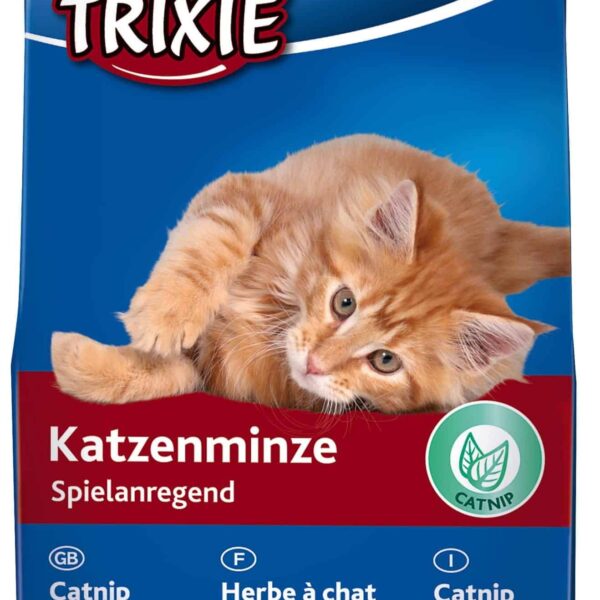 Catnip cu Menta 20 g 4225