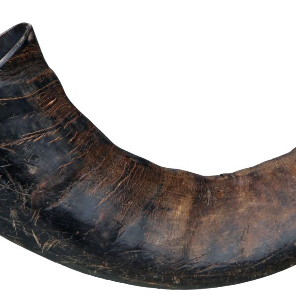 Corn Natural Mare de Bivol 27743