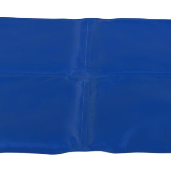 Saltea Racoritoare 40x30 cm Albastru 28683