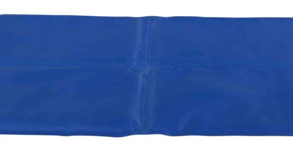 Saltea Racoritoare 110x70 cm Albastru 28687
