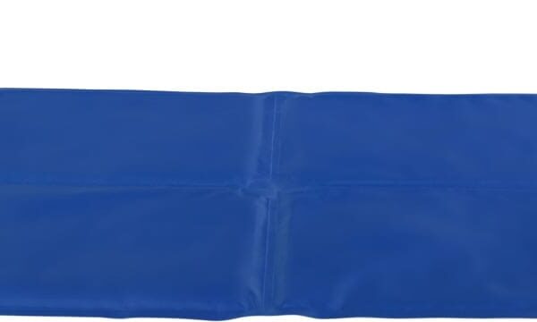 Saltea Racoritoare 100 x 60 cm Albastru 28688