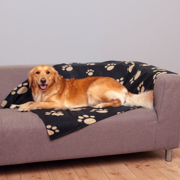 Patura Barney 150x100 cm Negru 37182