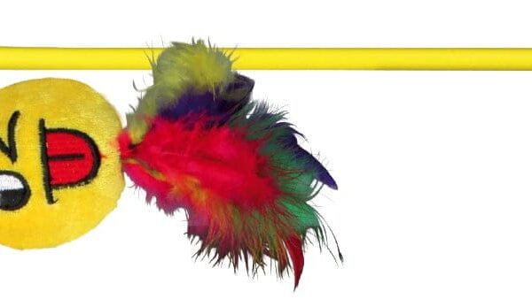 Jucarie Pisici-Undita cu Smiley 50 cm 45797