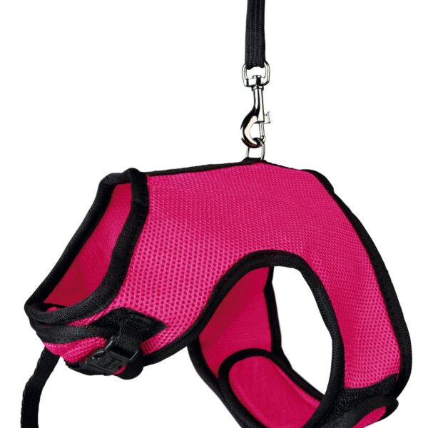 Lesa 1.2 m si Ham 25x40 cm Iepuri 61514