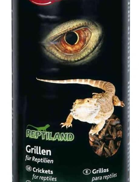 Greieri Uscati 250ml/25g 76392