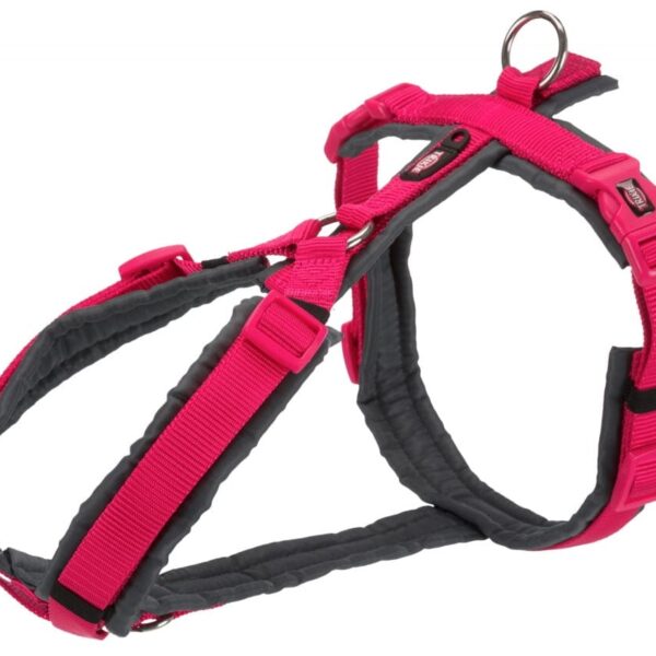 Ham Tracking S 36-44 cm/15 mm Fuchsia 1997011