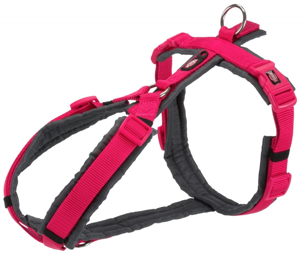4053032419780 Ham Tracking S 36-44 cm/15 mm Fuchsia 1997011