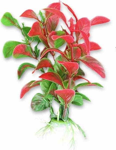 Plante artificiale blister 10 cm rosu 1B03