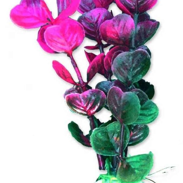 Plante artificiale blister 10 cm 1B30