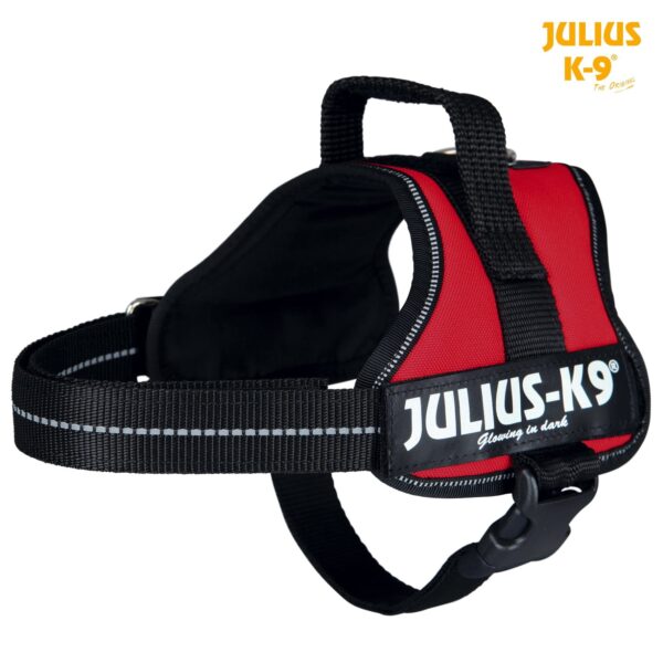 Ham Julius-K9 Mini/M 51-67 cm/28 mm Rosu 15023