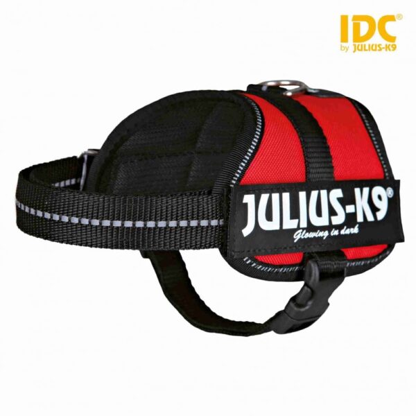 Ham Power Julius-K9 XS-S 33-45 cm/18 mm Rosu 150003