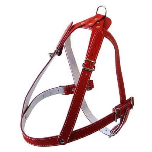 Ham L5 Piele - Sanie 79-92 cm/25 mm