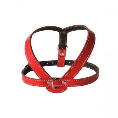 Ham L6 Piele Captusit 63-83 cm/25 mm - Rosu