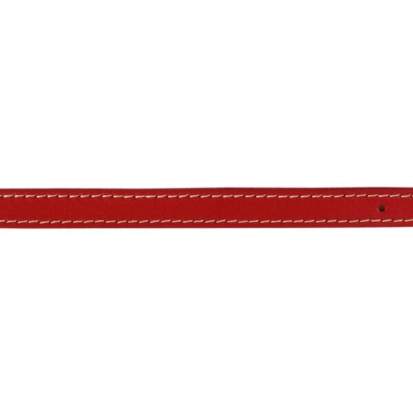 Zgarda L1 1.6/40 cm - Pasla Rosu