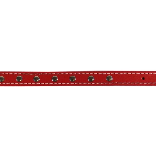 Zgarda L1 1.6/40 cm - Ornament Rosu