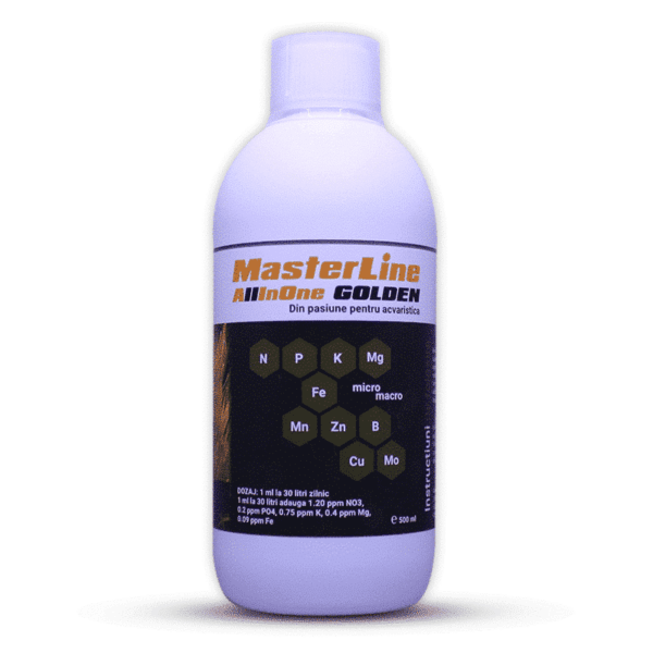 Masterline All In One Golden (500ml) (R)