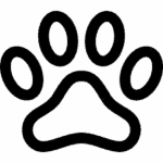 labuta-caini-de-vanzare