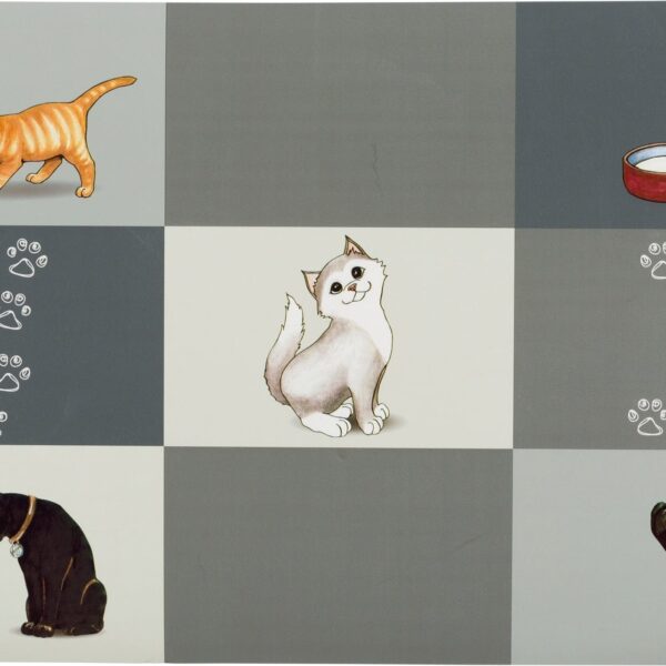 Covoras Plastic 44 x 28cm