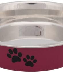 Castron Inox