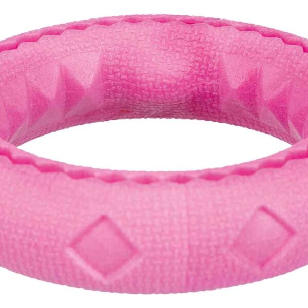 Jucarie Inel Plutitor in Apa Termoplastic