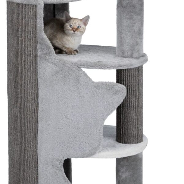 Ansamblu Abele cu Sisal