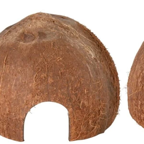 Casute din Cocos pentru Rozatoare