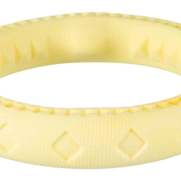 Jucarie Inel Plutitor Termoplastic 17 cm