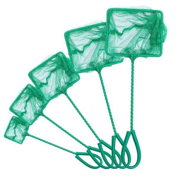 Minciog pentru acvariu