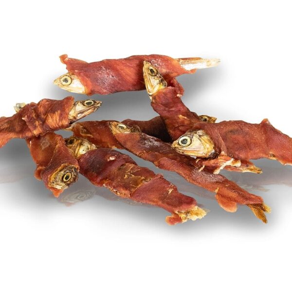 Peste Invelit cu Carne de Rata