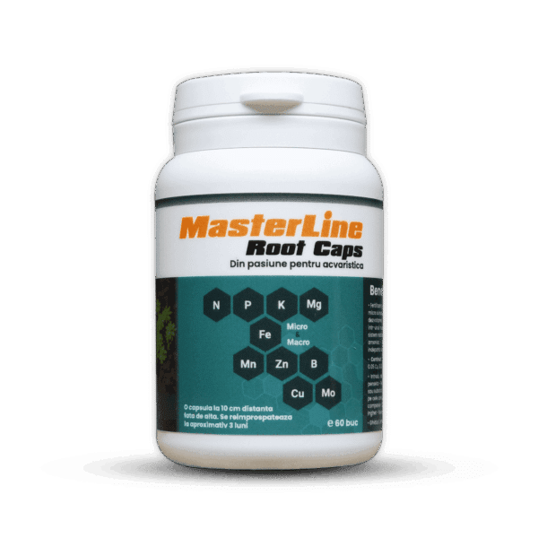 MasterLine Root Caps