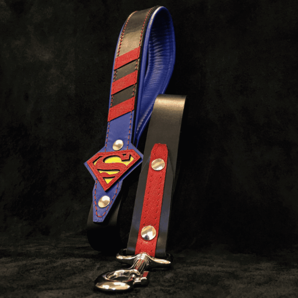 Lesa Superman