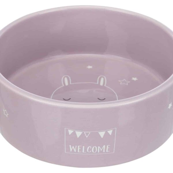 Castron Ceramic Junior