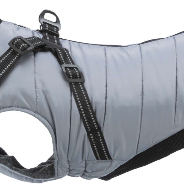 Hainuta Cu Ham Pontis