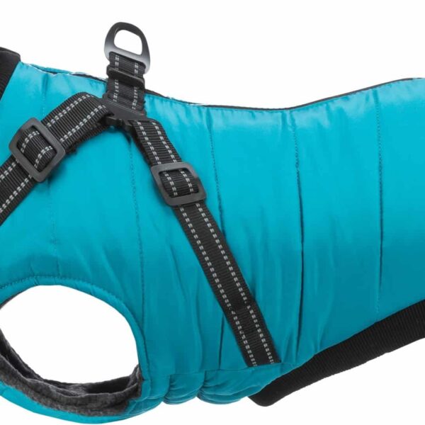 Hainuta Cu Ham Pontis