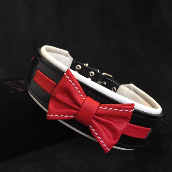Zgarda Bowtie-Papion