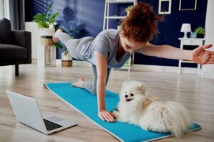 Cele mai bune exerciții pentru a menține un Pomeranian sănătos și fericit
