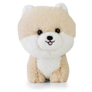Cele mai bune jucării pentru un Pomeranian: cum să alegi varianta perfectă