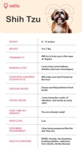 Comenzile esențiale pe care trebuie să le învețe orice Shih Tzu