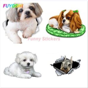 Este Shih Tzu un câine protector? Instincte de pază și apărare